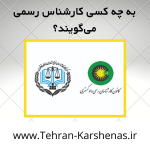 به چه کسی کارشناس رسمی می‌گویند؟