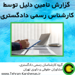 تامین دلیل توسط کارشناس رسمی دادگستری
