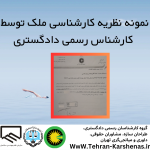 نمونه نظریه کارشناسی ملک توسط کارشناس رسمی داد