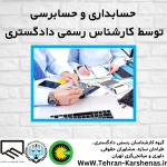 کارشناس رسمی دادگستری رشته حسابداری و حسابرسی