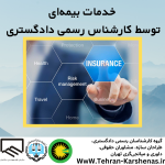 کارشناس رسمی دادگستری رشته بیمه