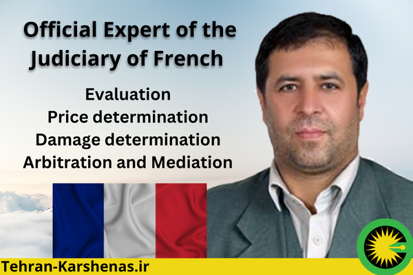 Official judicial expert in France