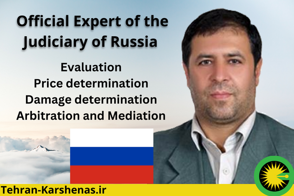Official expert of justice in Russia
