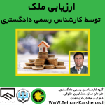 ارزیابی ملک توسط کارشناس رسمی دادگستری